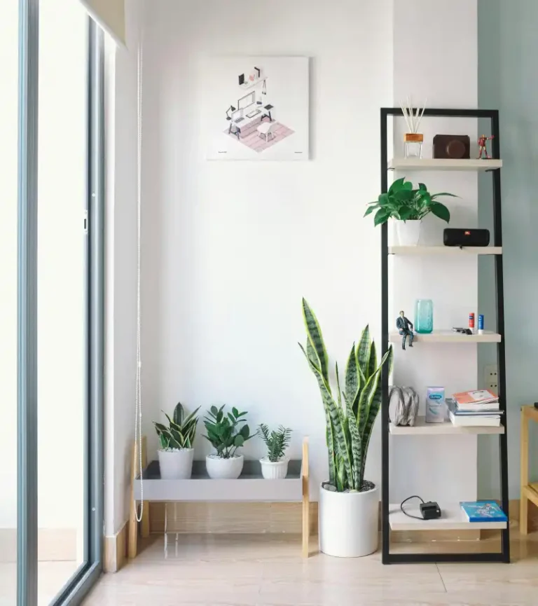 A cozy room featuring a ladder bookshelf filled with books, and various plants adorning the space